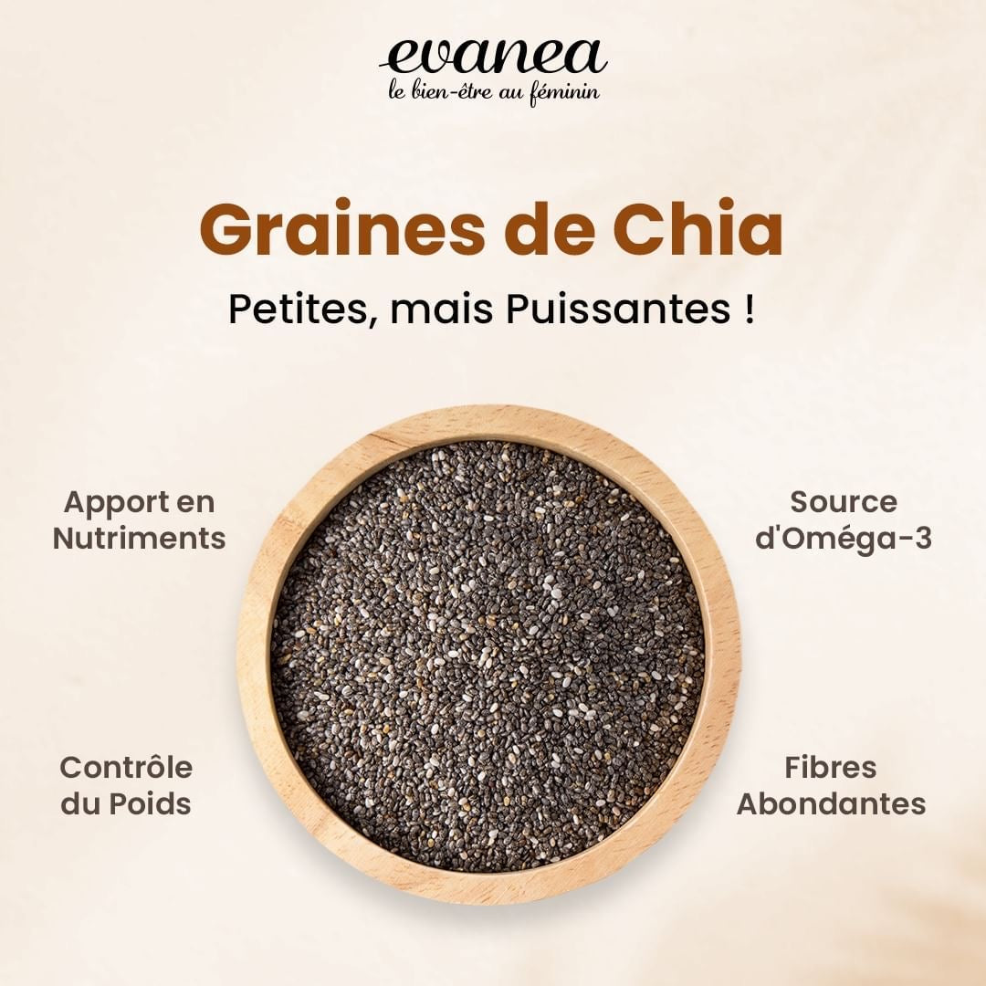 Graine de chia